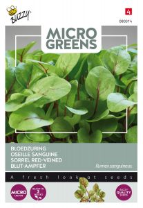 Buzzy Microgreens, Blut-Ampfer