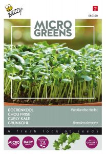 Buzzy Microgreens, Grünkohl Westländer Halbhoher