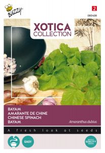 Buzzy Xotica Armant Bayam