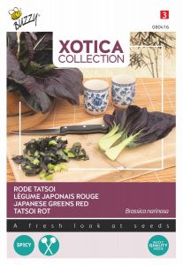 Buzzy Xotica Tatsoi Rot