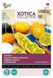 Buzzy Xotica Kiwano, Horngurke