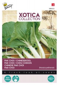 Buzzy Xotica Pak-Choi