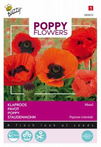 Buzzy Poppy Flowers Staudenmohn Oriental