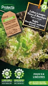 Schnittsalat Frisée d'Amérique – Protecta Samen bäuerl