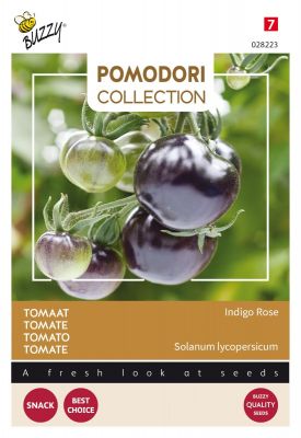 Buzzy Pomodori Tomate Indigo rose (schwarz)