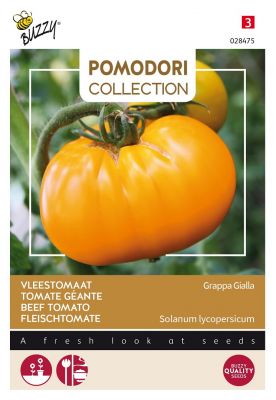 Buzzy Pomodori, Fleischtomate Grappa Gialla