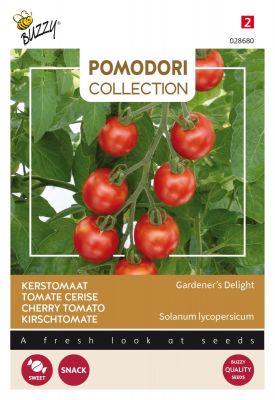 Buzzy Pomodori, Tomaten Gardeners Delight (Cherry)