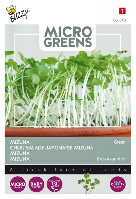 Buzzy Microgreens, Mizuna Grun