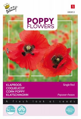 Buzzy Poppy Flowers, Klatschmohn Rot