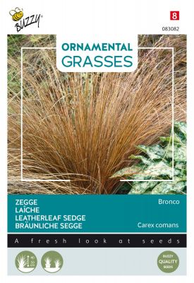 Buzzy Ornamental Grasses, Bräunliche Segge 'Bronco'