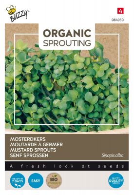 Buzzy Organic Sprouting Senf Sprossen (BIO)