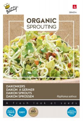 Buzzy Organic Sprouting Rettich, Daikon (BIO)