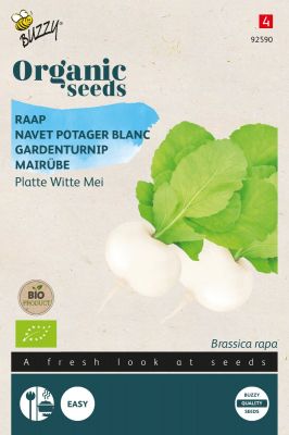 Buzzy Organic Mairübe Platte Witte Mei Holländische Weiße (BIO)