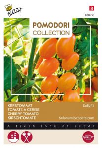 Buzzy Pomodori, Kirschtomate Dolly F1