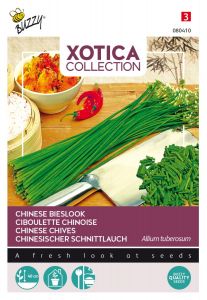 Buzzy Xotica Chinesischer Schnittlauch