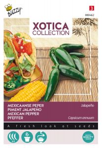 Buzzy Xotica Pfeffer Jalapeno