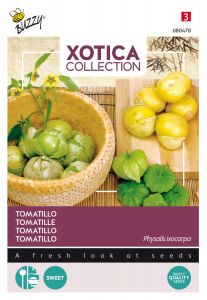 Buzzy Xotica Tomatillo, Mexikanische Andenbeere