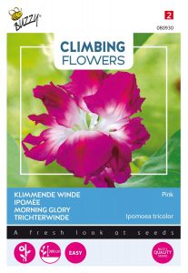 Buzzy Climbing Flowers, Ipomoea Dubbel Pink