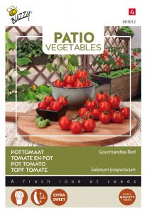 Buzzy Patio Veggies, Topf Tomate Gourmandise Red