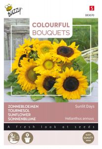 Buzzy Colourful Bouquets, Sunlit Days, Sonneblume