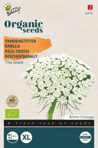 Buzzy Organic Bischofskraut The Giant (BIO)