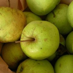 Apfel 'Golden Delicious'