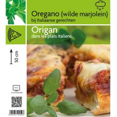 Oregano